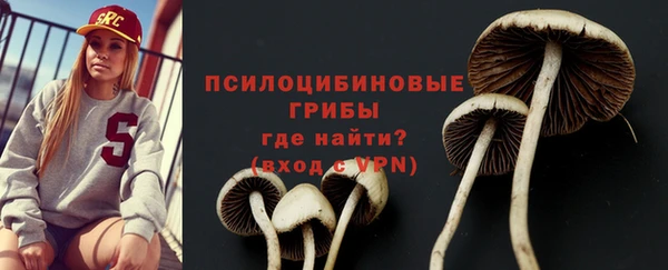 молекула духа Балабаново