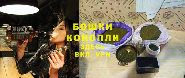 молекула духа Балахна