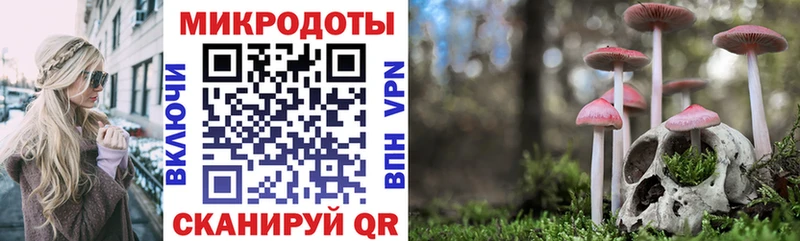 ОМГ ОМГ вход  Городец  Галлюциногенные грибы прущие грибы  купить  